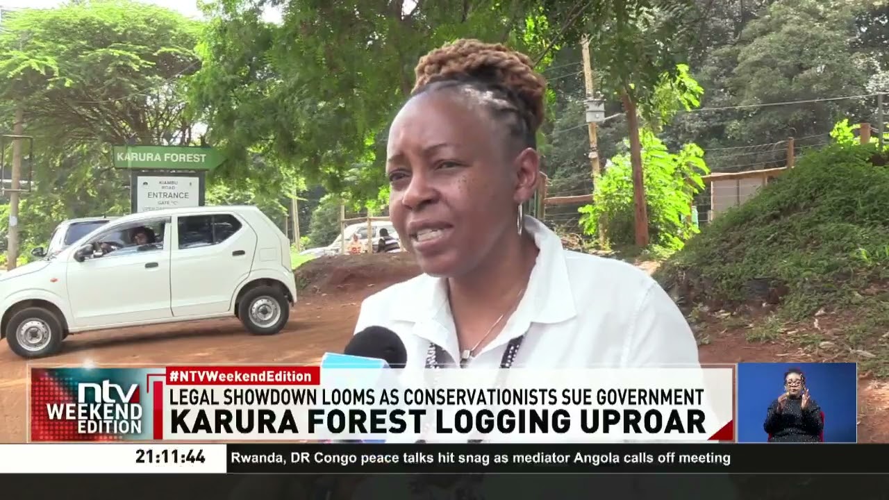 Legal battle erupts over logging in Nairobi's Karura Forest