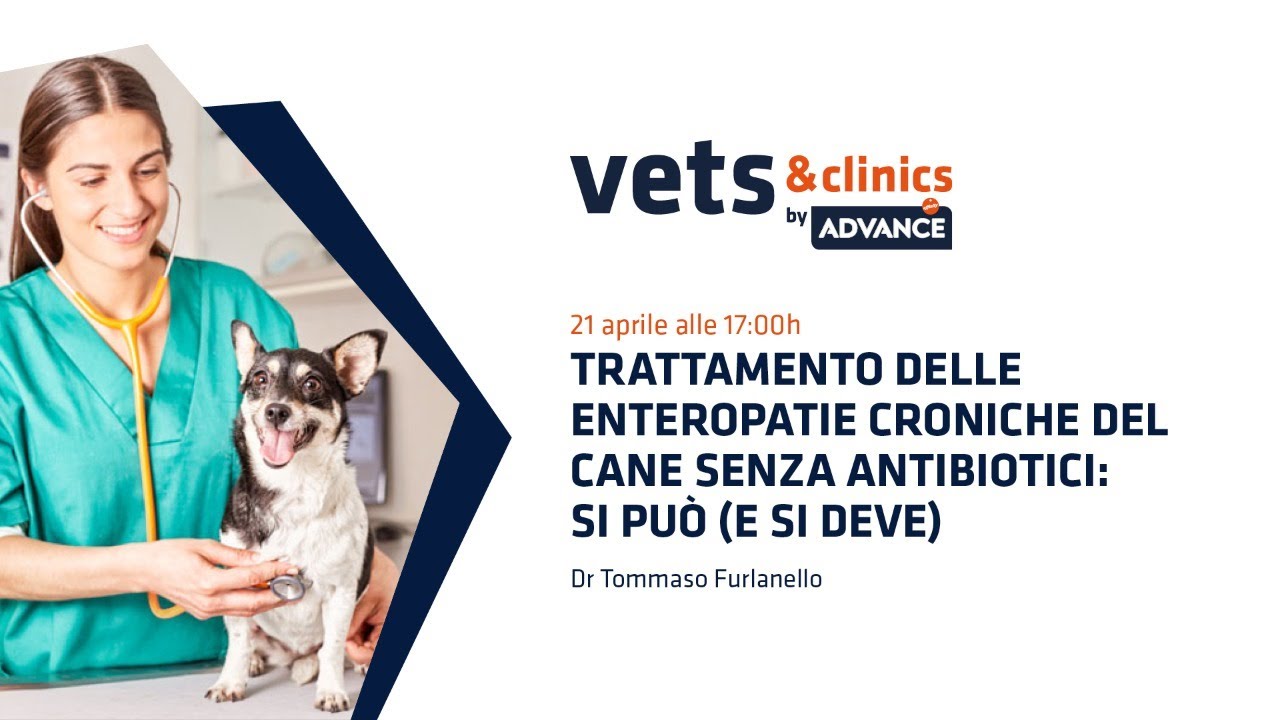 02.IT Trattamento delle enteropatie croniche del cane senza antibiotici: si può (e si deve).
