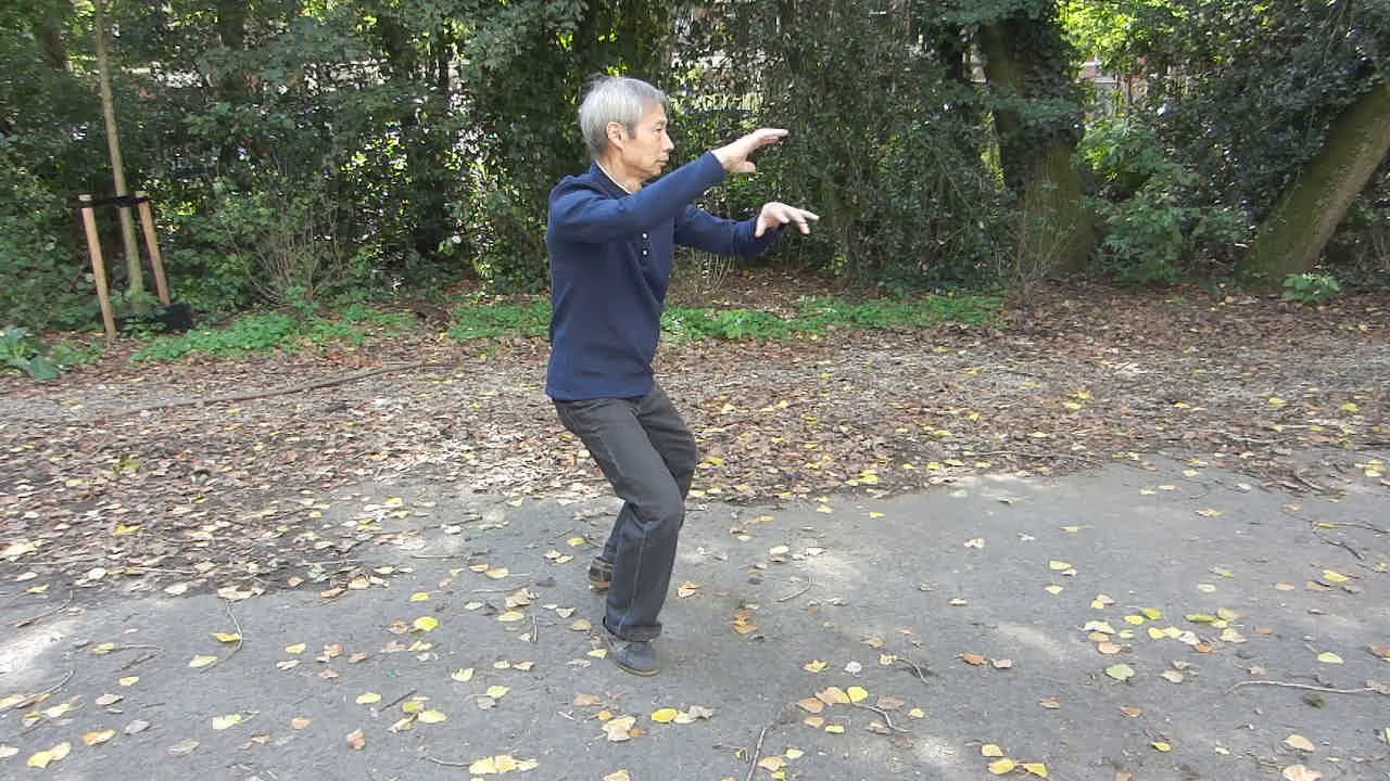 Yang Shao-Hou Tai Chi Chuan via Gu Li-Sheng, the 3rd route (of 6 routes).