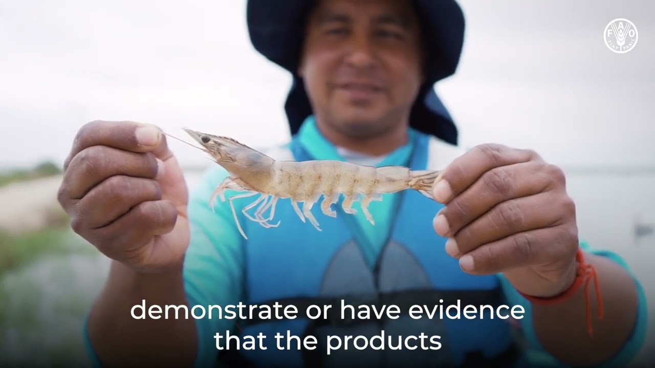 Ensuring responsible and sustainable shrimp production by implementing good aquaculture practices