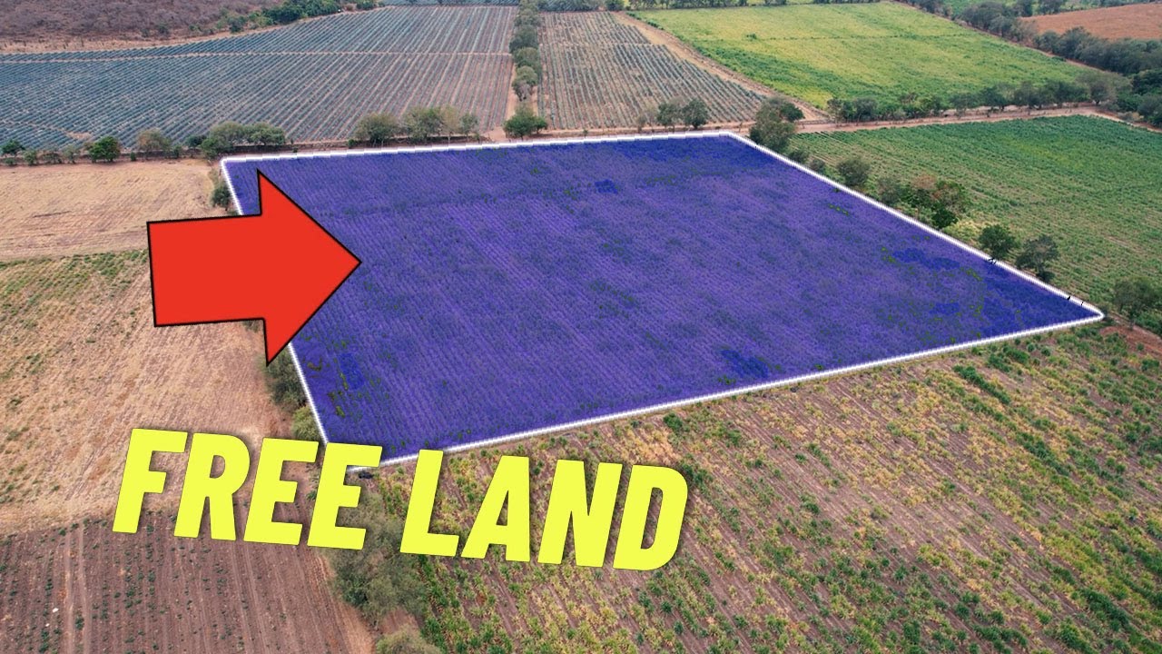 10 PLACES to get FREE LAND out of the US 💸🌎