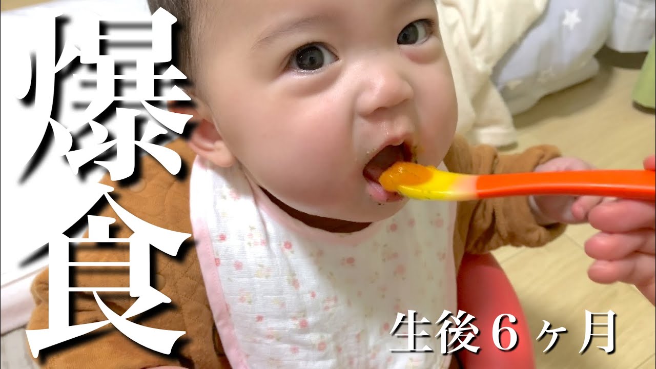 【生後６ヶ月】爆食！！ご飯が足りなくて泣いちゃった！！！【赤ちゃん】【離乳食】
