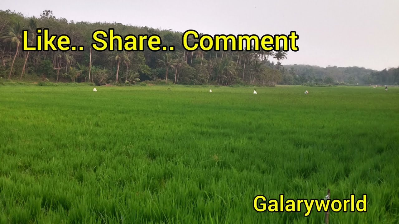പലിശ പണം പിരിക്കുന്ന ശിവൻ.. || Coming Soon Episodes || 