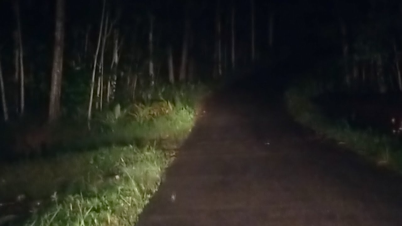 Lanjut Mobil Vlog Ke Lokasi Horor hutan larangan banyak penampakan mistis...
