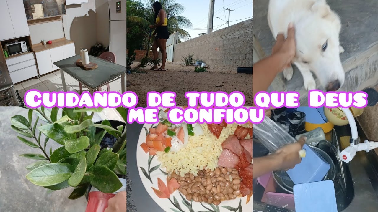 Varrendo o quintal, cuidando das plantas e da casa com muito amor / inspiração 