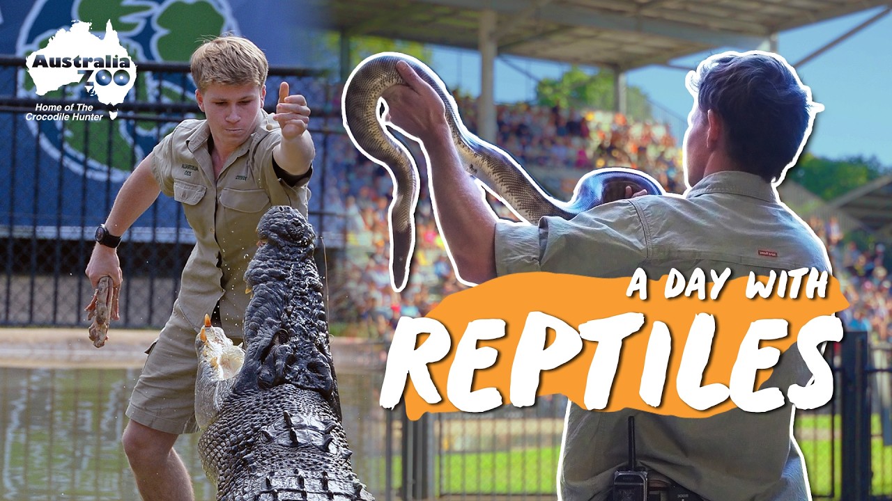 Spend The Day As A Reptile Keeper!