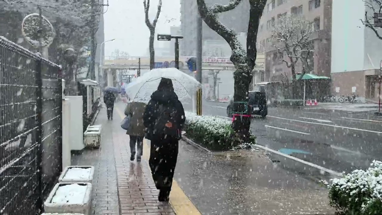 雪、選挙、徒歩にて