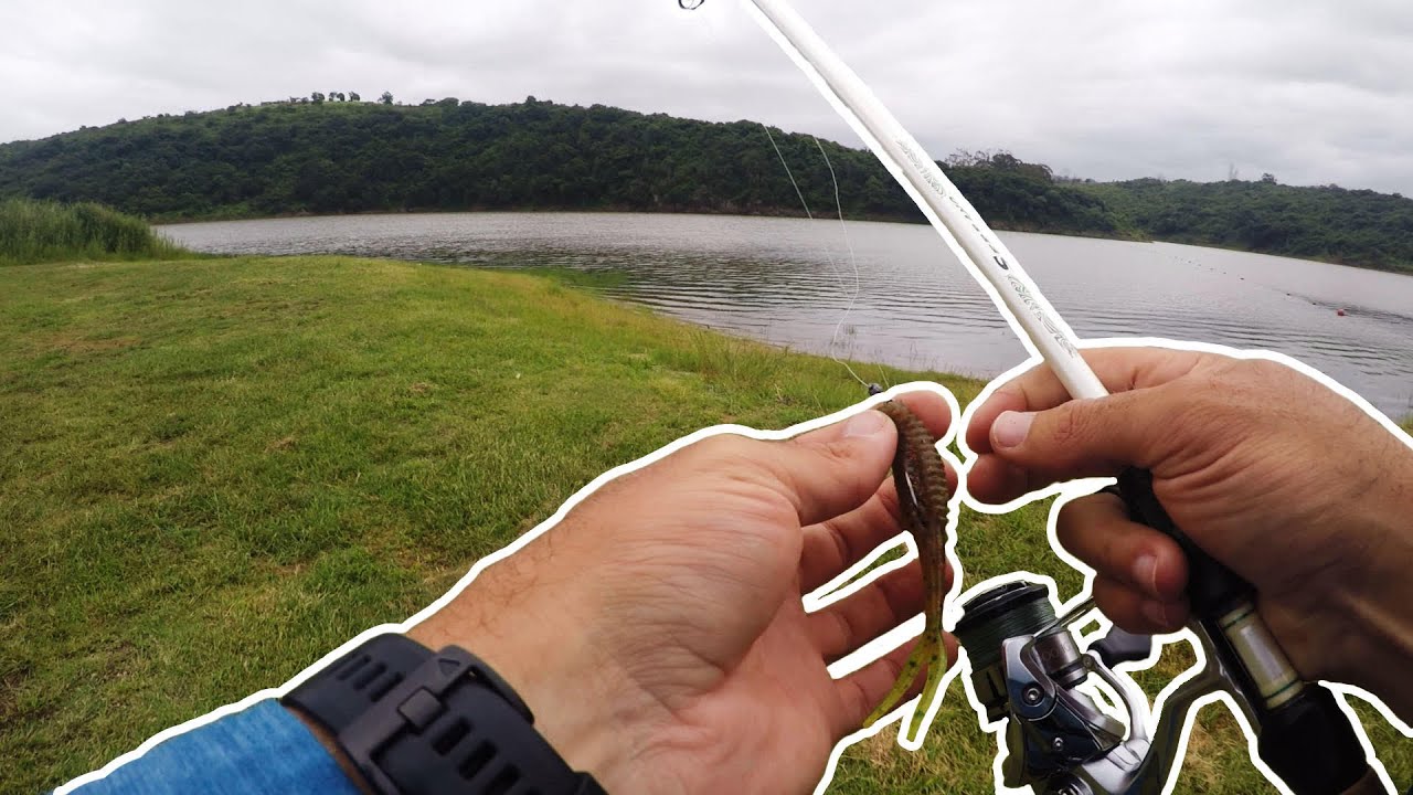 Hazelmere Dam Bank Fishing session, Tips & Tricks revealed. South Africa.