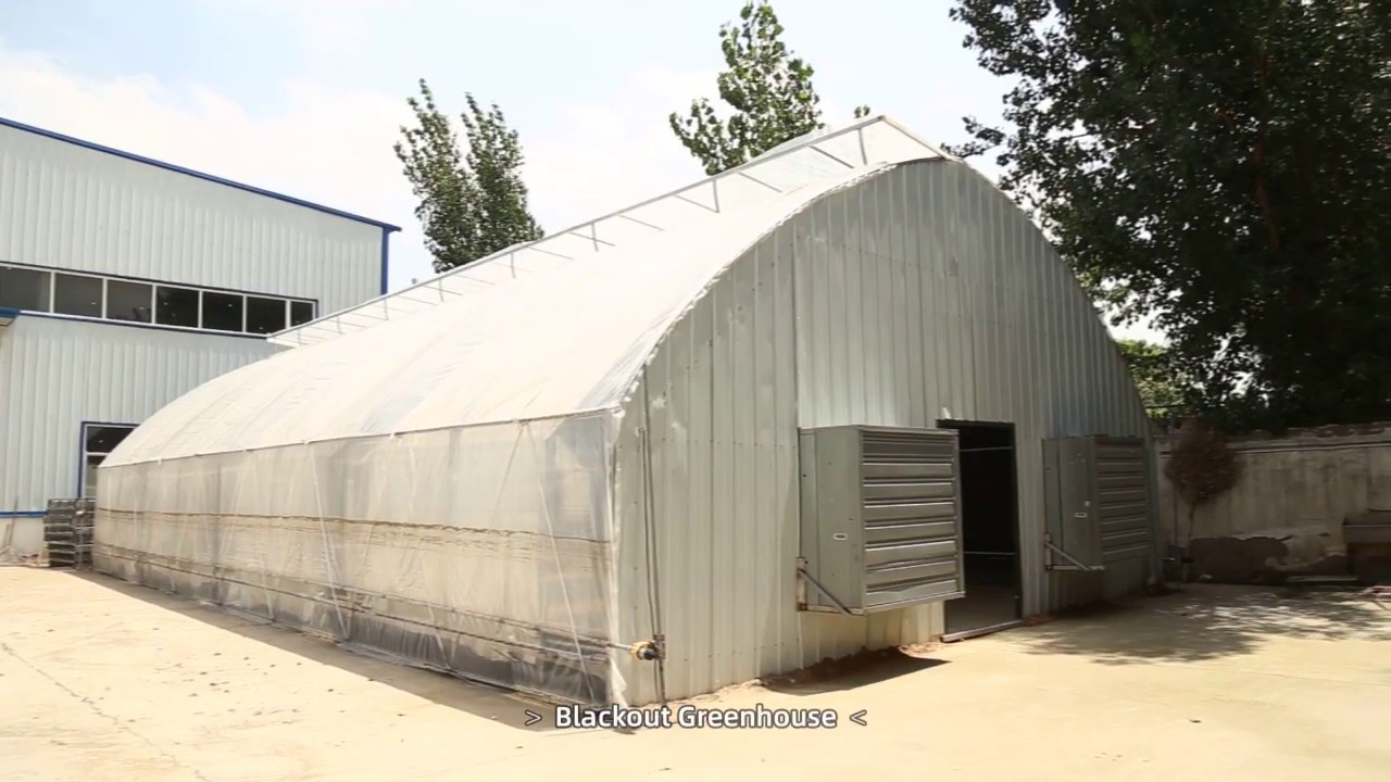HUIFA Fully Automated Light Deprivation Greenhouse