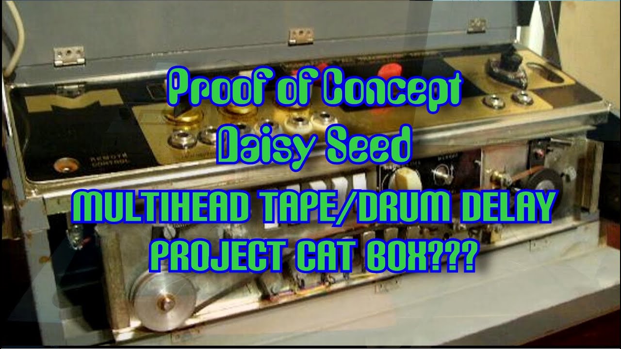 Multihead Tape/Drum Echo Proof of Concept using Daisy Seed & PlugData