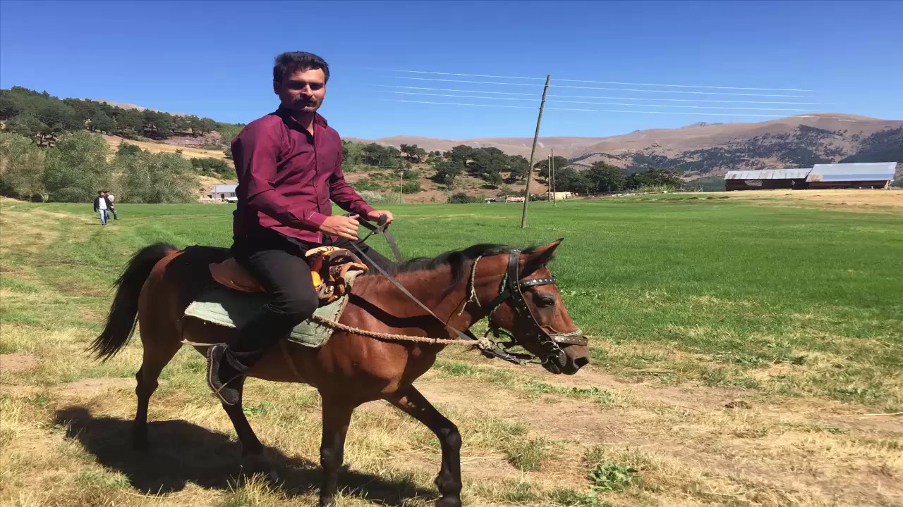 Alucra Demirözü Köyü