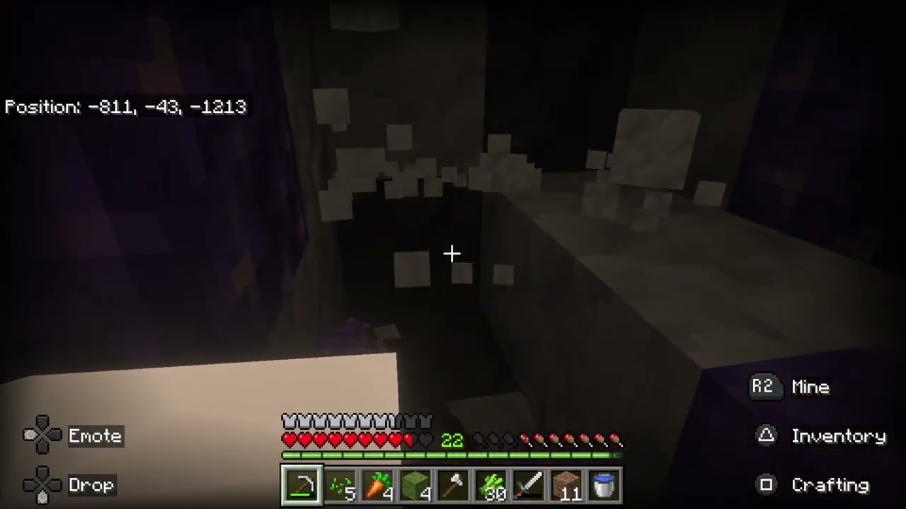Minecraft Forever, survival world.