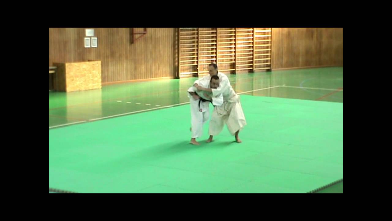Kōryūkai 2016   Kobudō Enbu Taikai  - Tenjin Myōshin Ryū Heihō