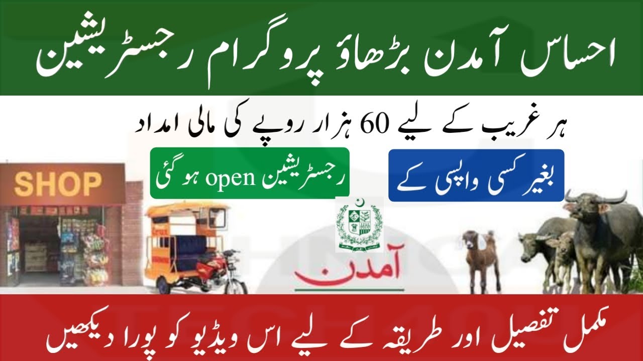 How to apply Ehsaas Amdan Ehsas amdan program registration tech40u