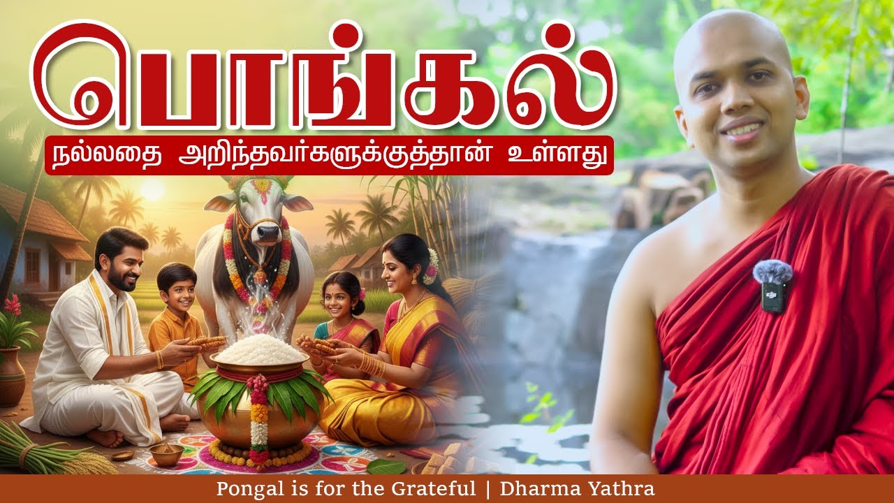 பொங்கல் நல்லதை அறிந்தவர்களுக்குத்தான் உள்ளது | Pongal is for the Grateful | Dharma Yathra
