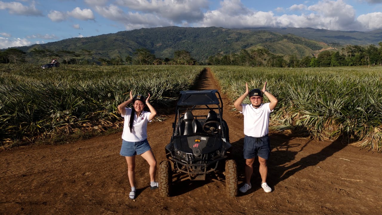 Del Monte Pineapple Plantation Bukidnon