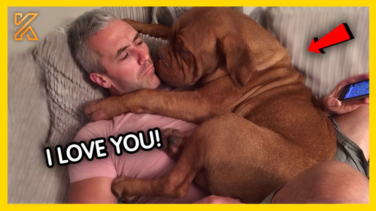 🐾🐕Dogs Bring Joy To Dads Who Didn't Want Them 🤣 Funny Dog and Human