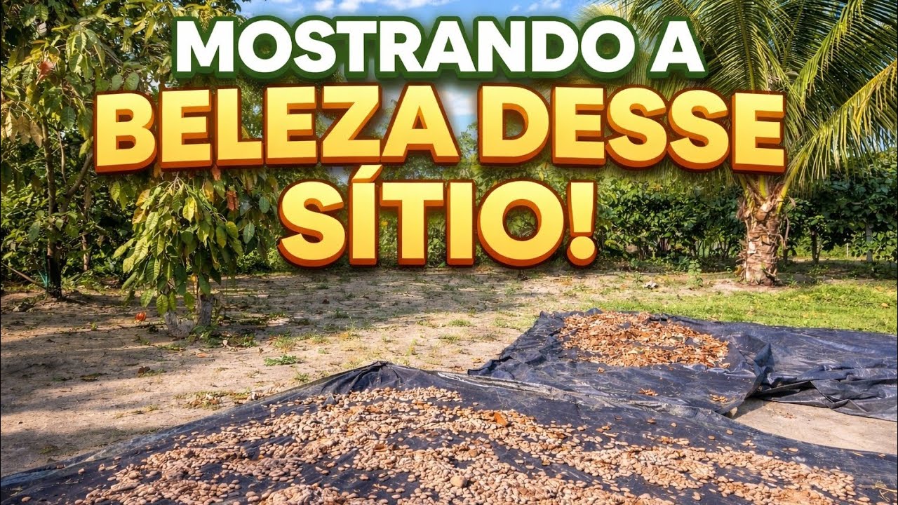 Venham ver  a beleza desse sítio!!😱 