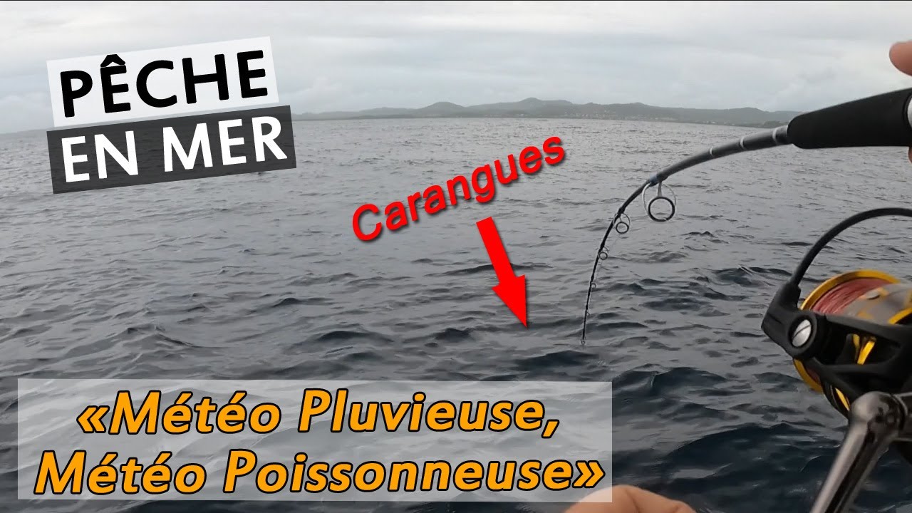 P&ecirc;che Exo en MARTINIQUE sur les R&Eacute;CIFS de la COTE ATLANTIQUE | Jigging de Carangues et Thazard.
