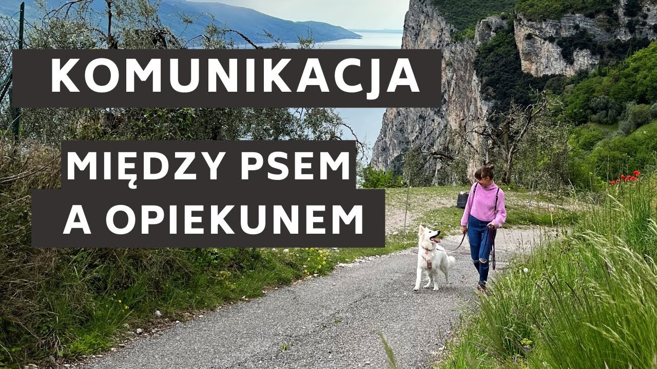Niewerbalna KOMUNIKACJA między PSAMI i ich OPIEKUNAMI