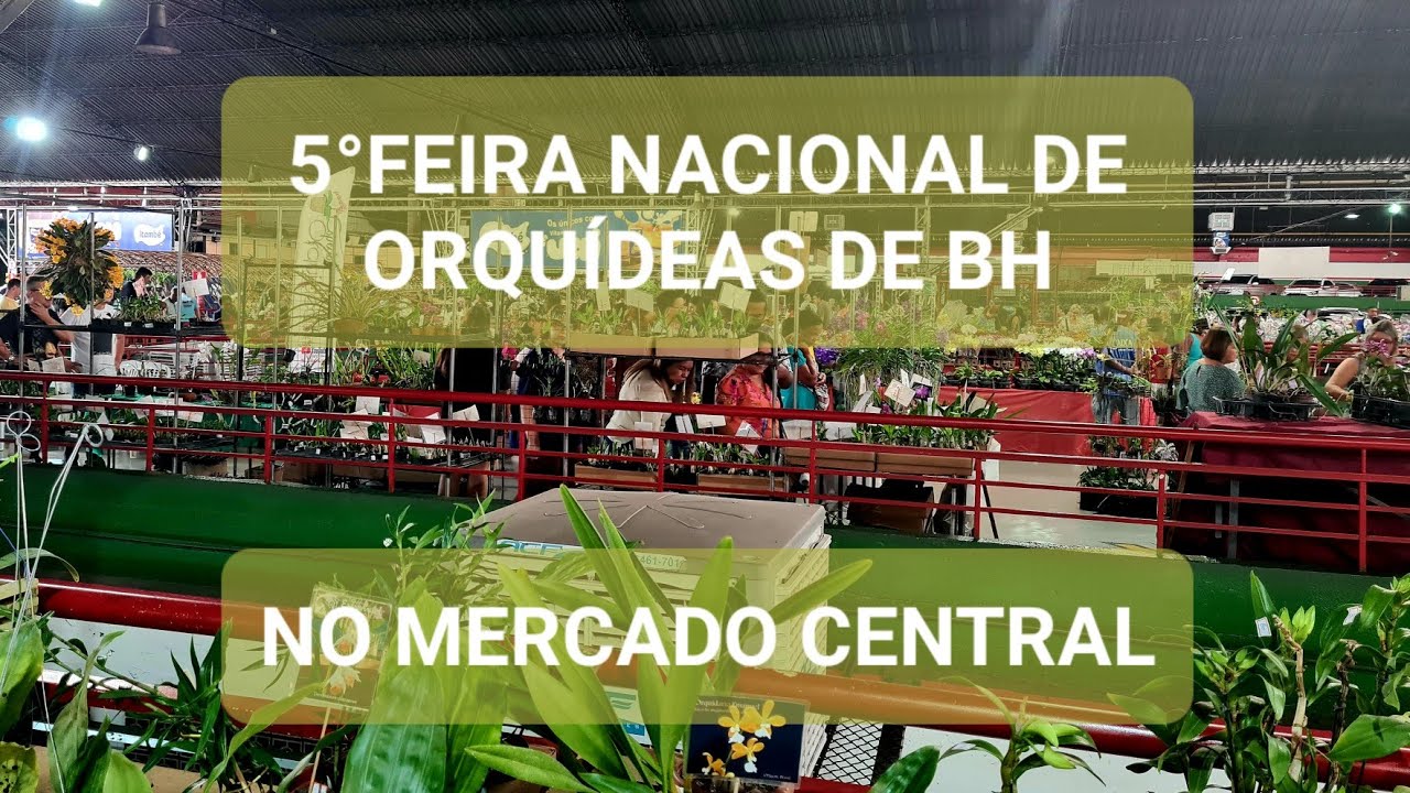 🌼5° FEIRA NACIONAL DE ORQUÍDEAS DE BH, NO MERCADO CENTRAL 🌼