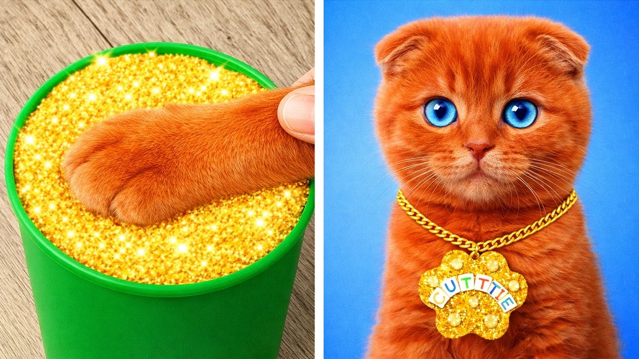 Hilarious Cat Reactions to Viral TikTok Trends Unleashed 🐾 By Meow-some! Live