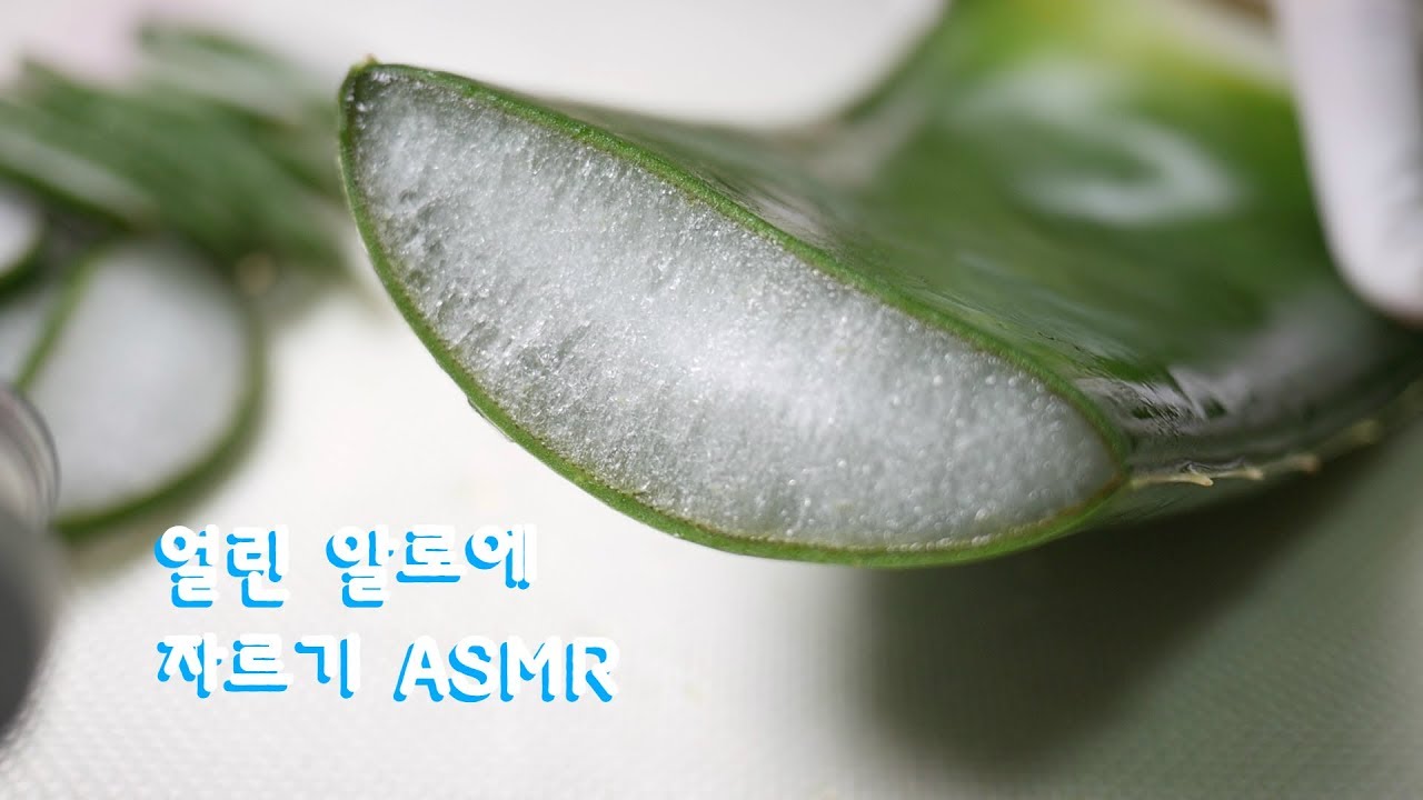 ❄ 얼린알로에 자르는 소리 ASMR (+뒤로재생) | 한세