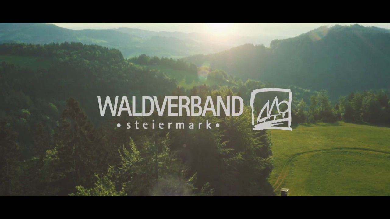 Waldverband Steiermark - Wir schaffen Werte