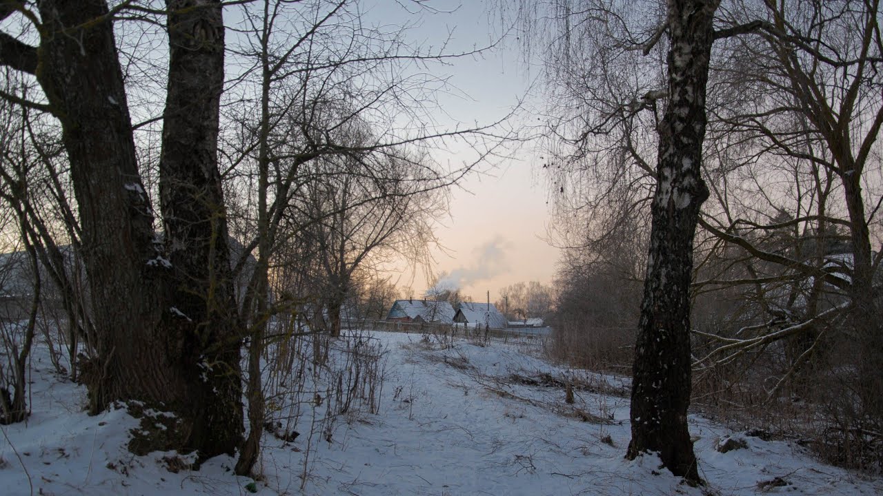 Часть 1. Зимняя прогулка в лесу.