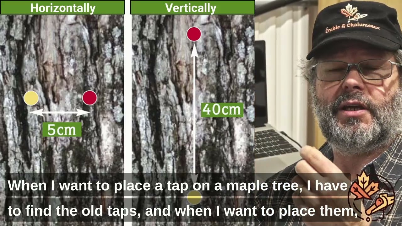 Tapping in 2024 part 1 of 2.