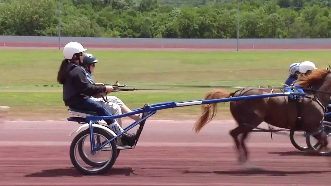 Harness Horse Youth Foundation - Summer Camp 2014