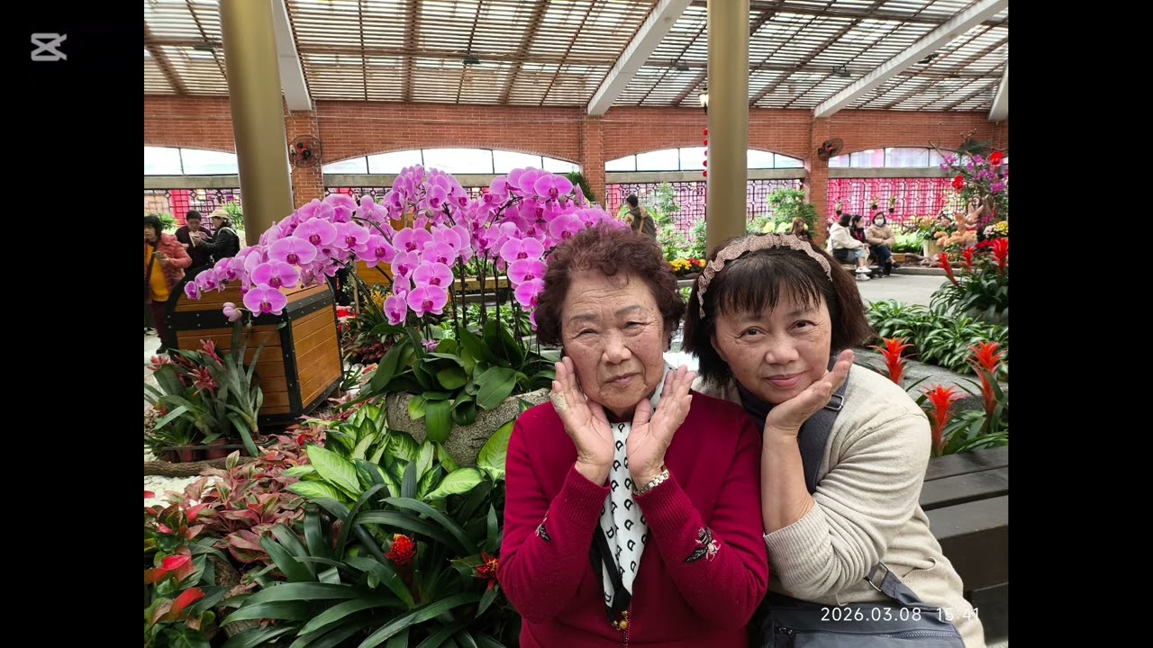 115+114士林官邸鬱金香花展