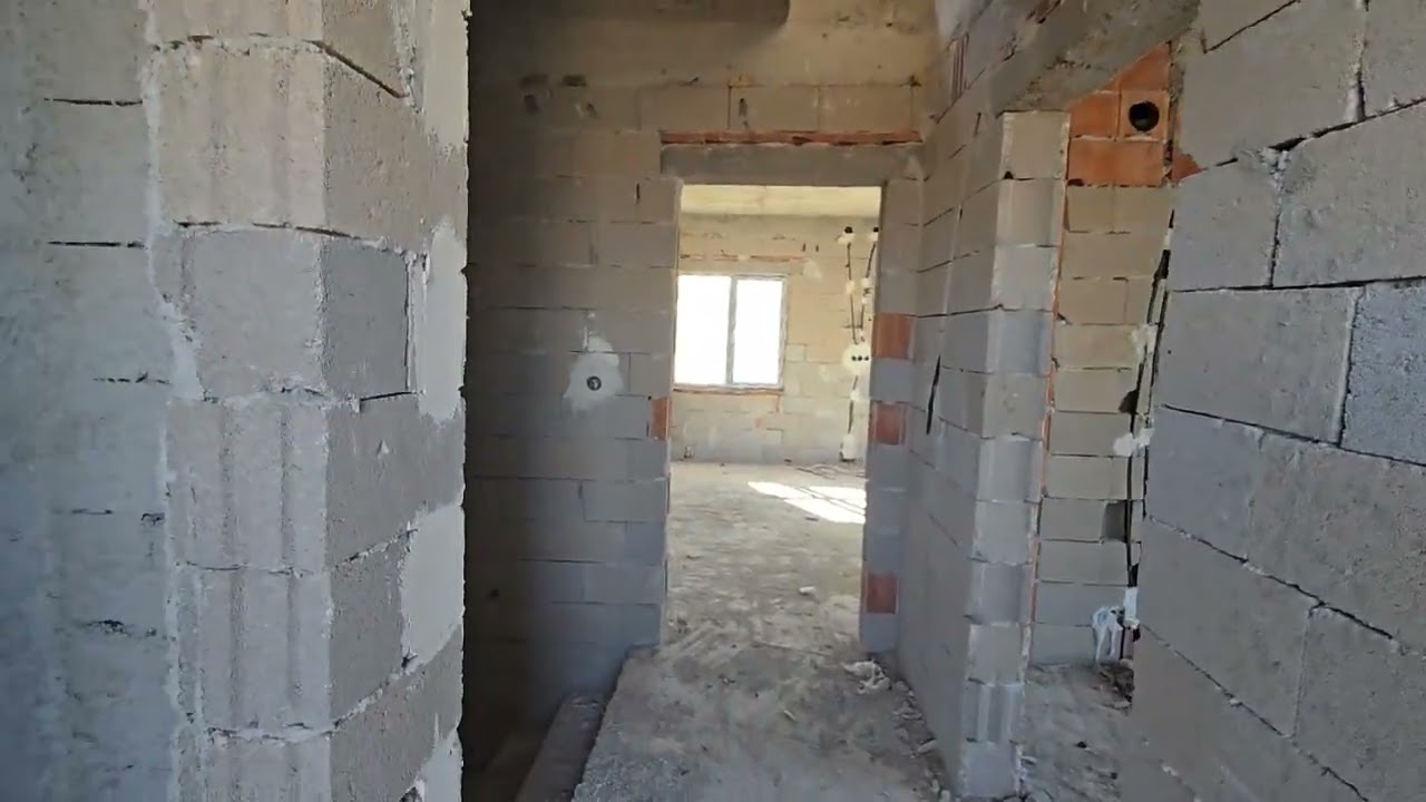١٠ فبراير ٢٠٢٦
