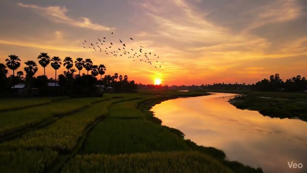 Peaceful Bangladesh Village Nature 🌾 | Cinematic AI 4K Nature Video | Infinity AI Creations