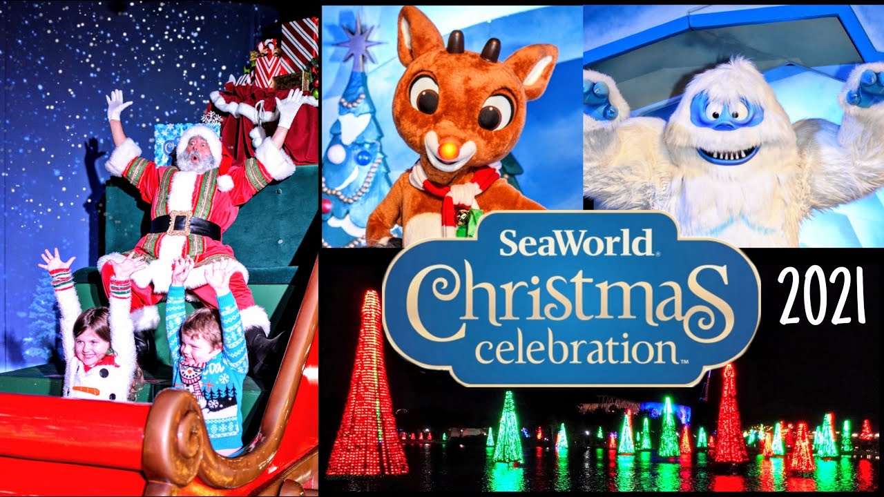 SeaWorld Orlando's Christmas Celebration 2021 | What to Do at SeaWorld's Christmas Event Florida