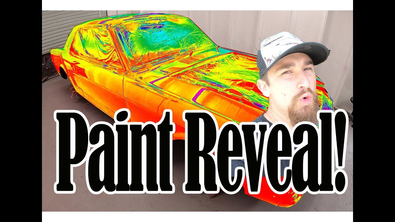 1965 Mustang Paint Reveal!!! It Looks So Great!!