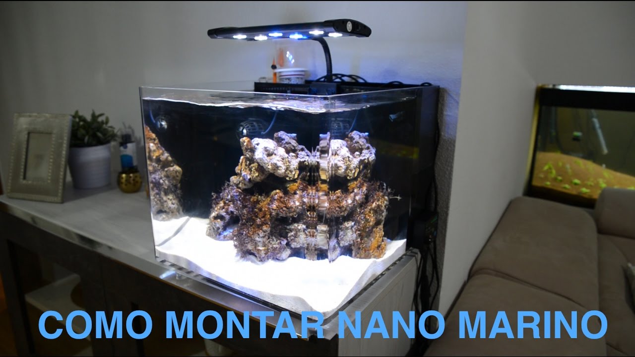 CÓMO MONTAR NANO ACUARIO MARINO (Aquarium Centrofama)