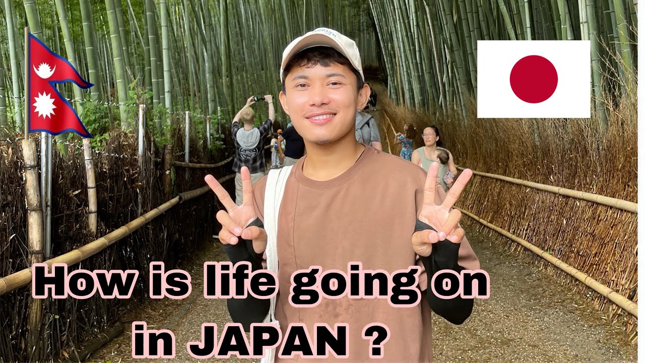 BAMBOO FOREST VISIT IN JAPAN || #vlog04