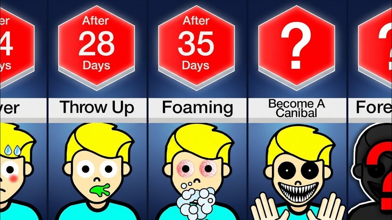 Timeline: What If You Got Rabies?