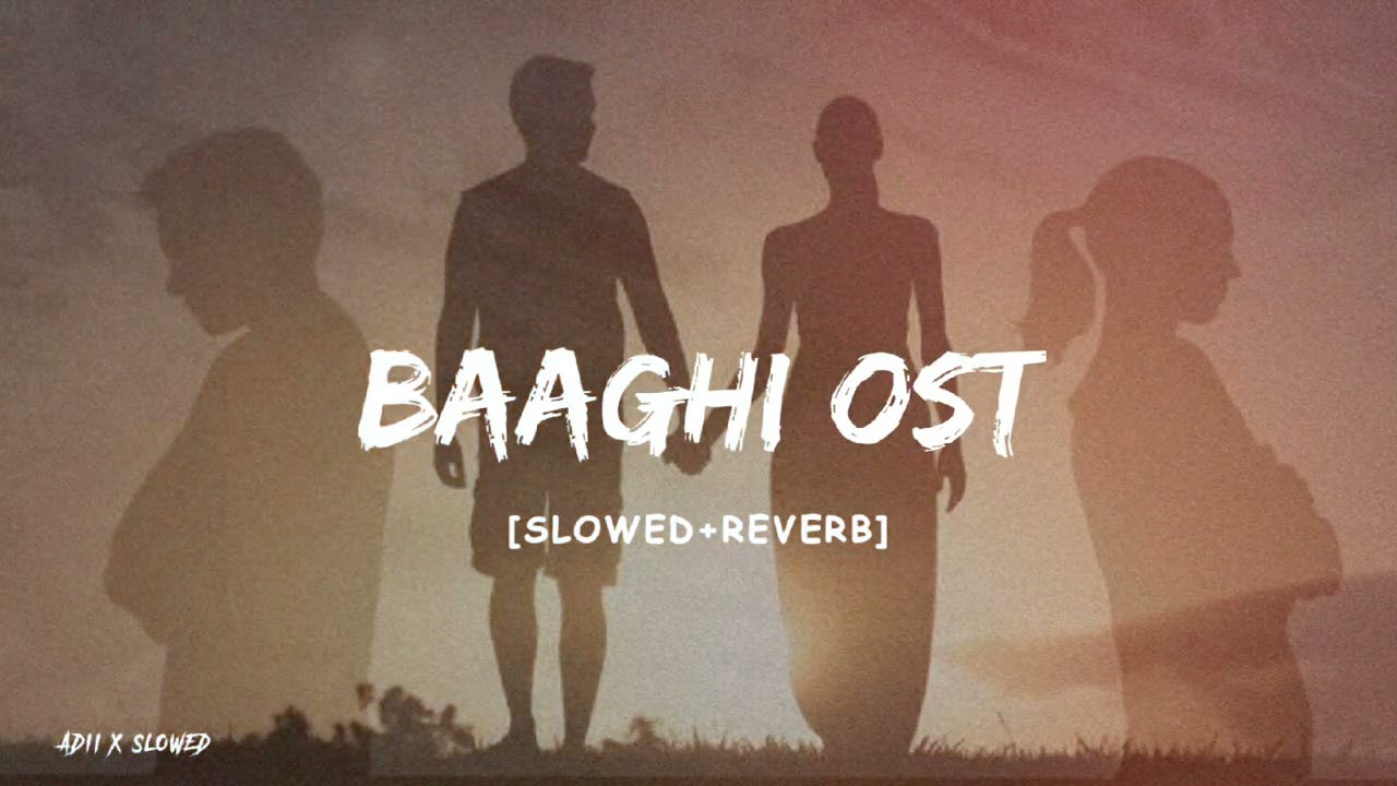 Peera Ve Peera | Baaghi Ost | Slowed & Reverb