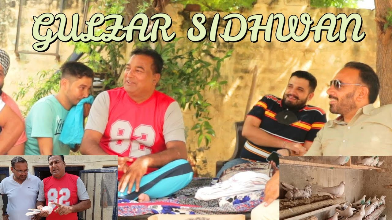 GULZAR SIDHWAN PIGEON STAR INTERVIEW || ਗੁਲਜ਼ਾਰ ਸਿੱਧਵਾਂ ਸਟਾਰ ਕਬੂਤਰ ਖਿਲਾੜੀ ||