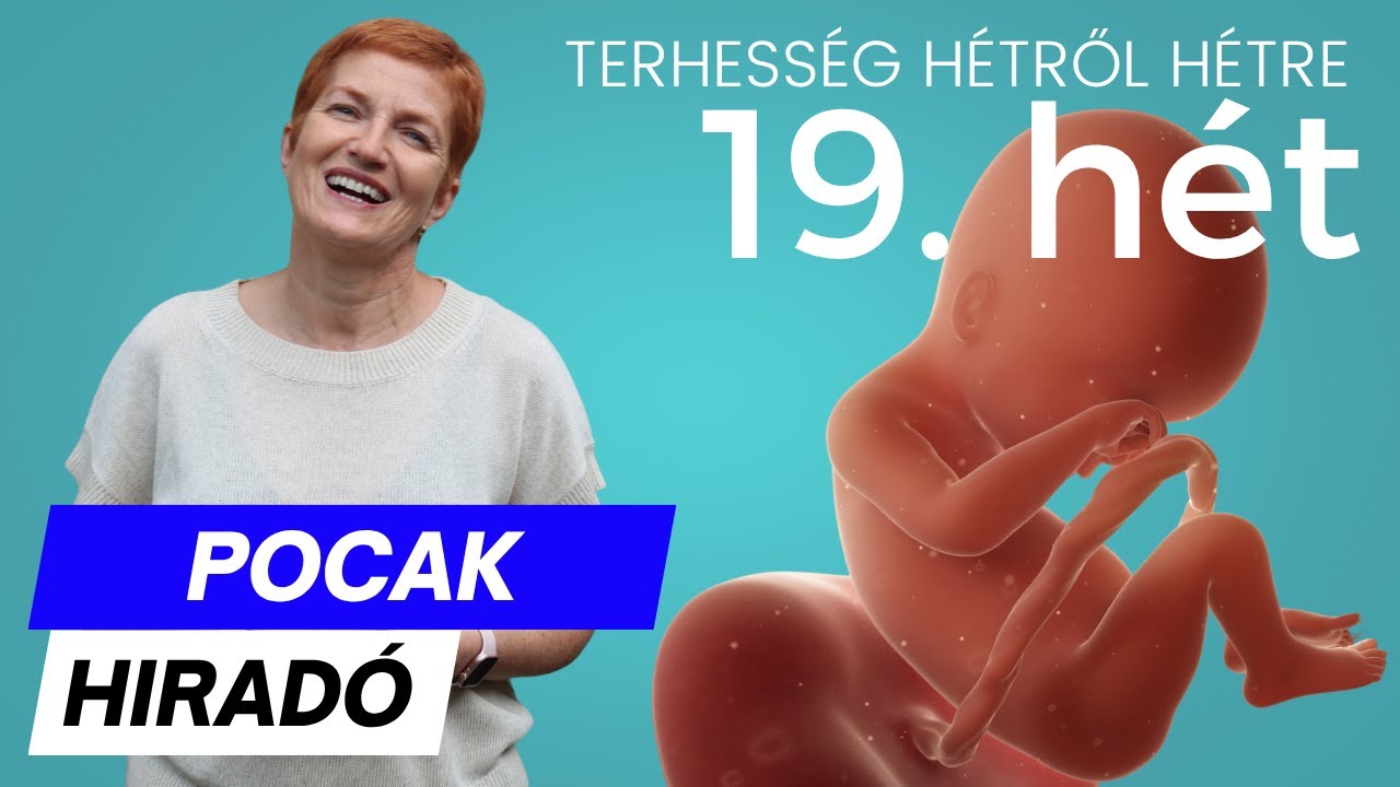 Terhesség 19. hete ∣ Terhesség hétről hétre
