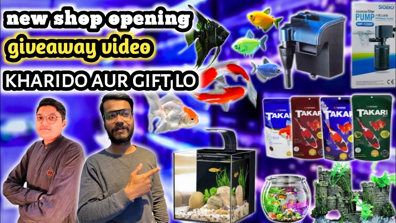 fish aquarium saddar || FA TRADER'S fish aquarium shop opening offers and giveaway 🎁🐟🐠
