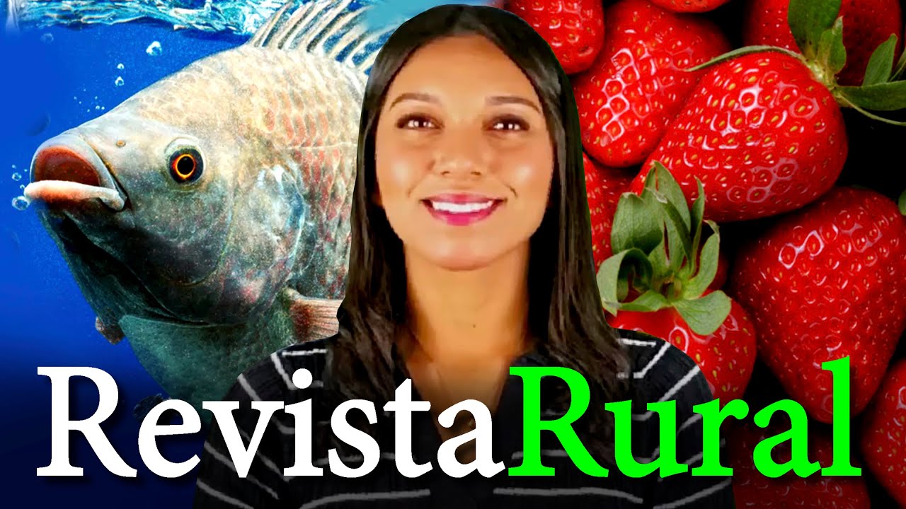 PROGRAMA REVISTA RURAL - 02/03/2025