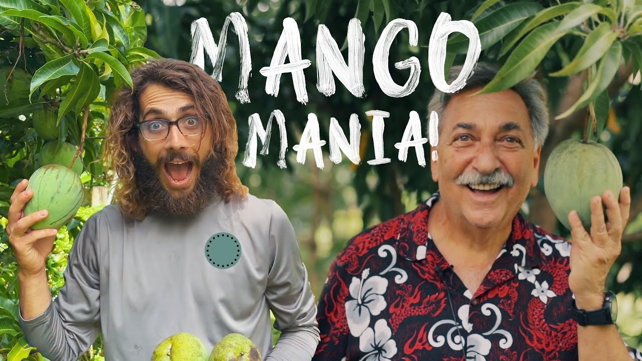 "It's Insane." - Jerry's FRUIT FOREST TOUR: Mangos | Magic Jack | More Trees