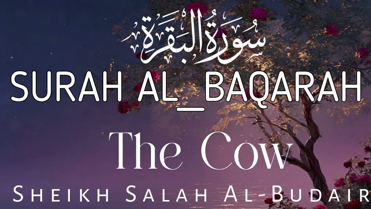 Surah al Baqarah #alquran 