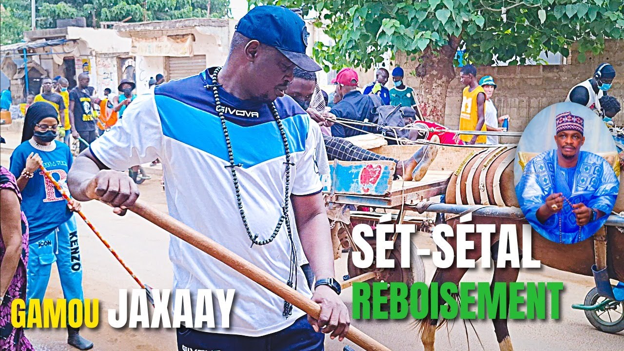 SÉT-SÉTAL PLUS REBOISEMENT : BAYE AME LISTE LES DIFFICULTÉS QUI PLOMBENT LE DÉVELOPPEMENT DE JAXAAY