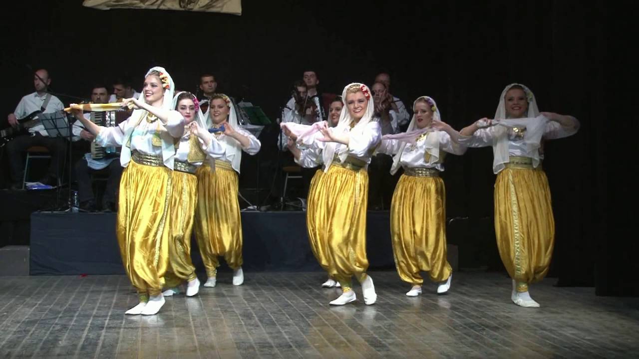 Prnjavor Mačvanski, koncert 2016.