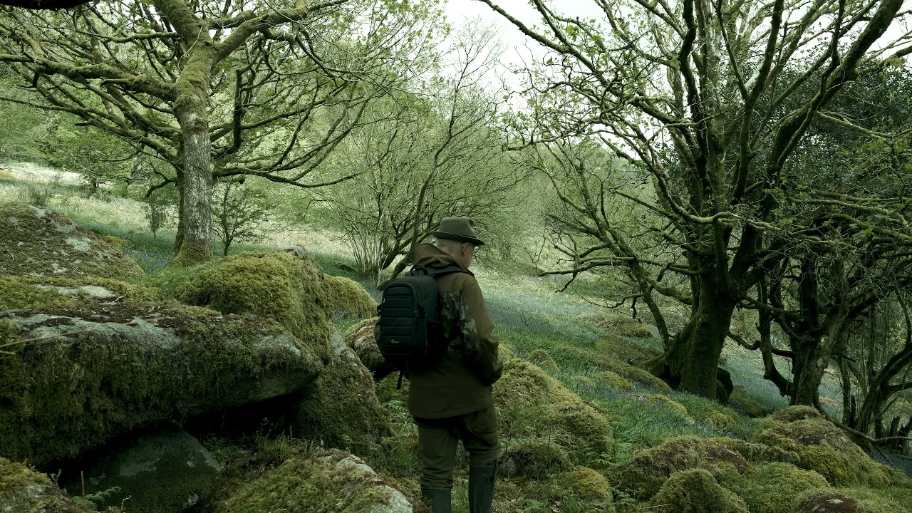 Woodland Landscape Photography #65