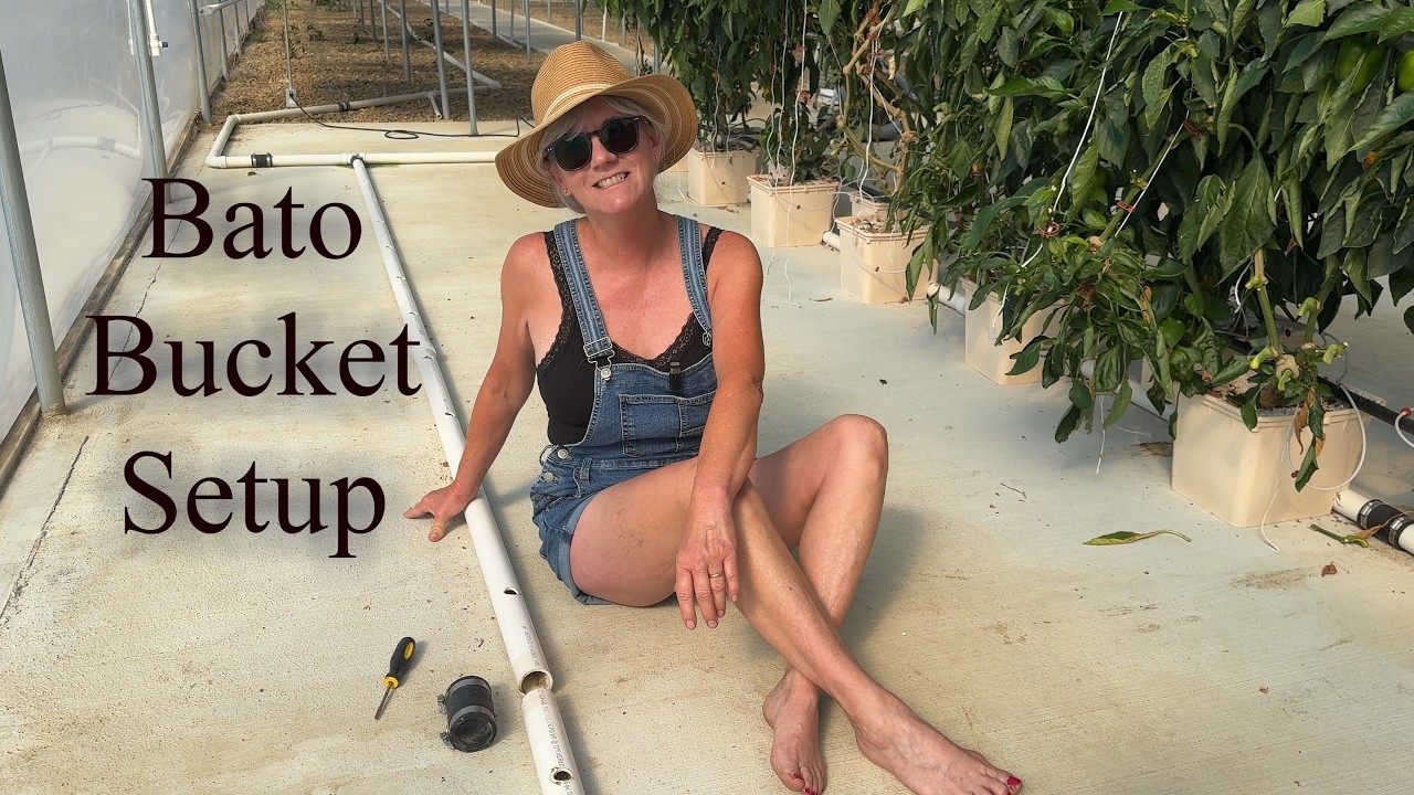 Expert Steps for Planting Hydroponic English Cucumbers & Snap Beans